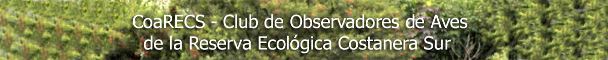 CoaRECS - Club de Observadores de Aves de la Reserva Ecológica Costanera Sur