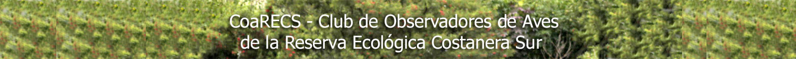 CoaRECS - Club de Observadores de Aves de la Reserva Ecolgica Costanera Sur