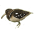 Aguatero 1
