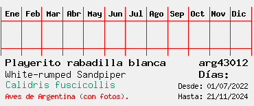 Estadisticas