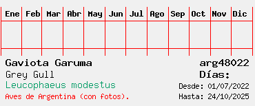 Estadisticas