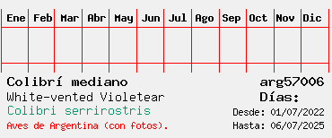 Estadisticas