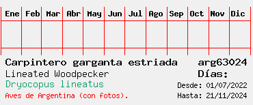 Estadisticas