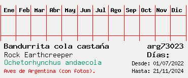 Estadisticas