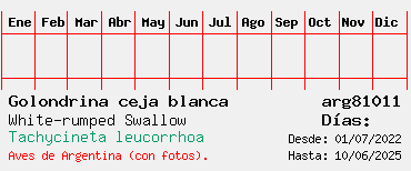Estadisticas