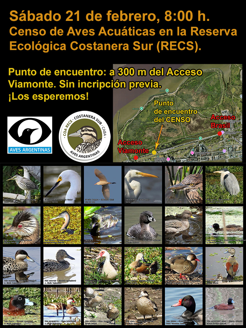 Censo de Aves Acuáticas - 21 de febrero de 2026