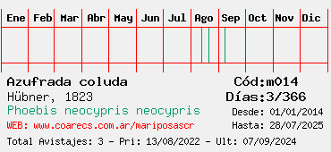 Estadisticas