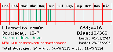 Estadisticas