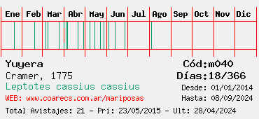 Estadisticas