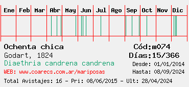 Estadisticas