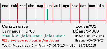 Estadisticas