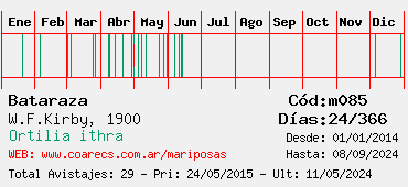 Estadisticas