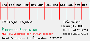 Estadisticas