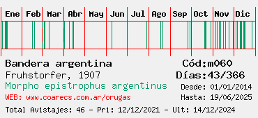 Estadisticas