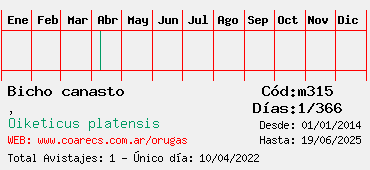 Estadisticas