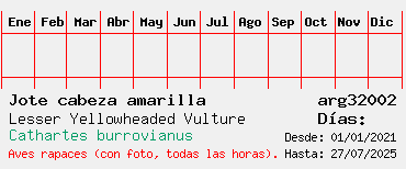 Estadisticas