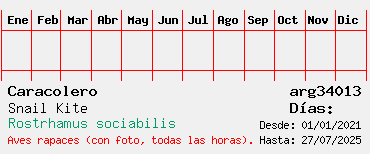 Estadisticas