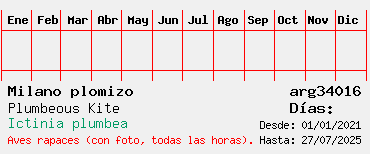 Estadisticas