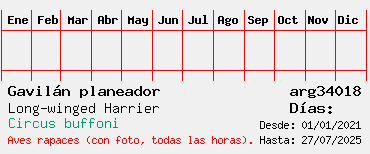Estadisticas