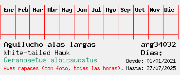 Estadisticas