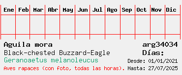Estadisticas