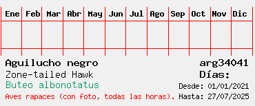 Estadisticas