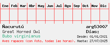 Estadisticas