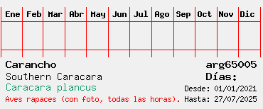 Estadisticas