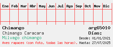 Estadisticas