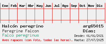 Estadisticas