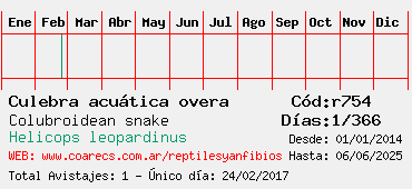 Estadisticas
